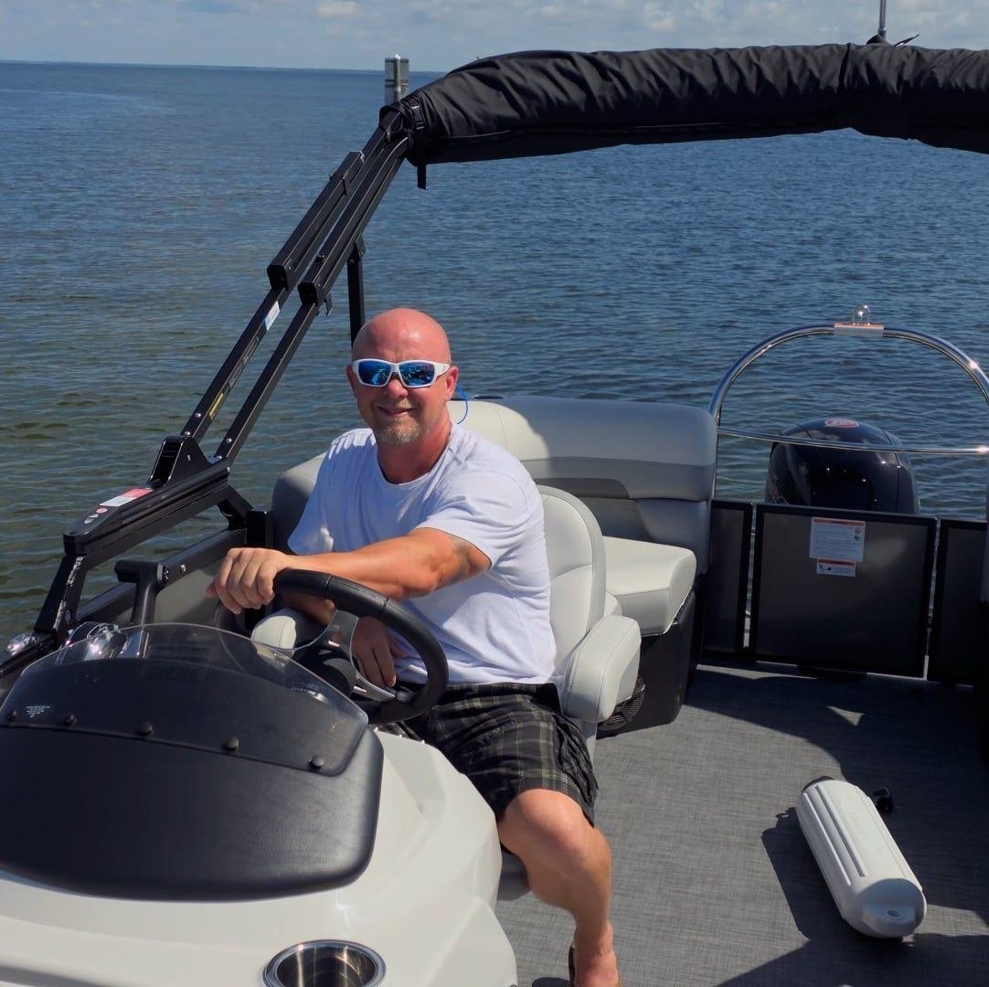 Dolphins in the wild