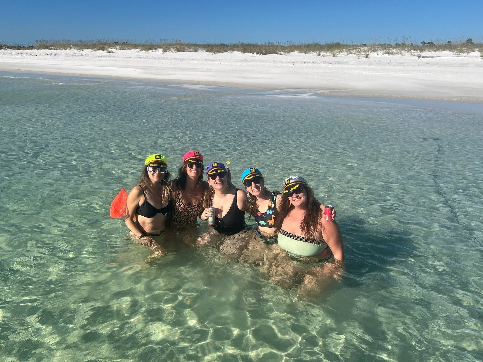 Dolphins in the wild